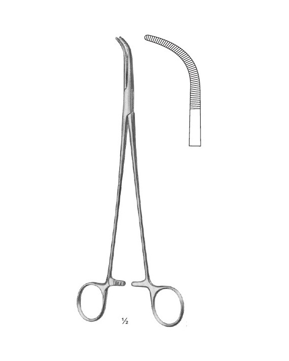 <span>Mixter</span>