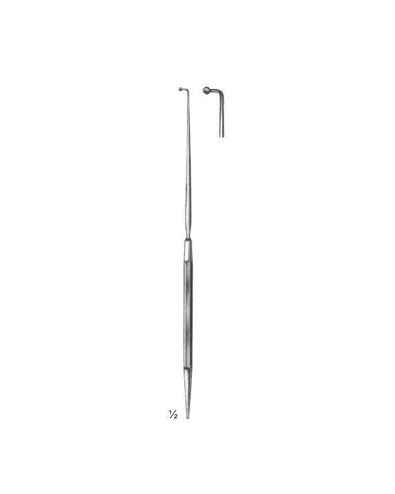 <span>Allport</span>