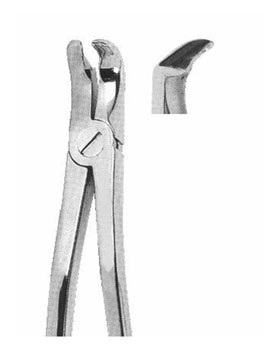<span>Lower Third Molars</span>