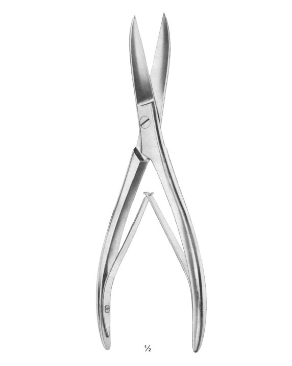 <span>Bethune</span>