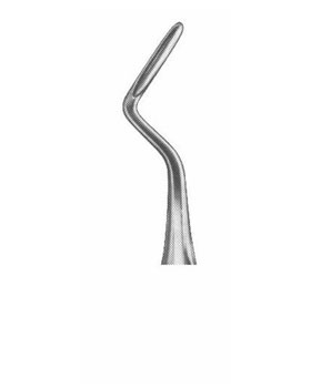 <span>Appical </span>