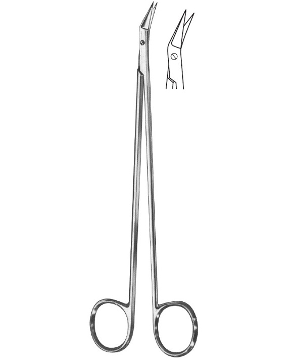 <span>Diethrich</span>