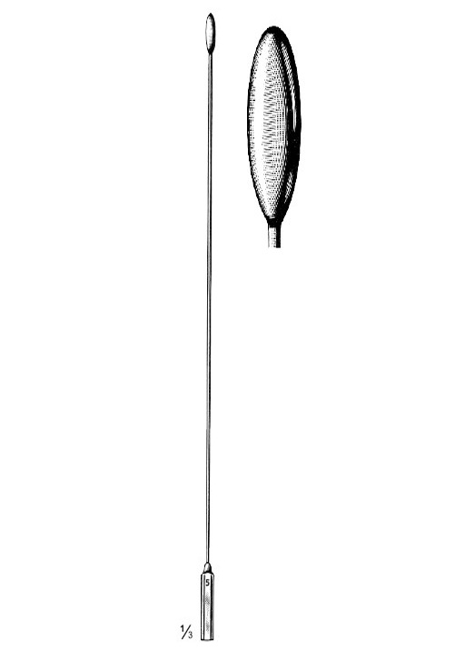 <span>Bakes</span>