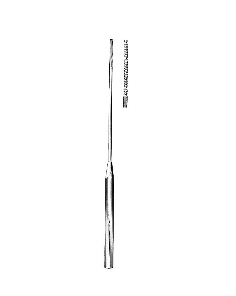 <span>Universal</span>