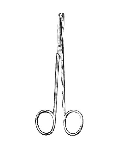 <span>Buck</span>