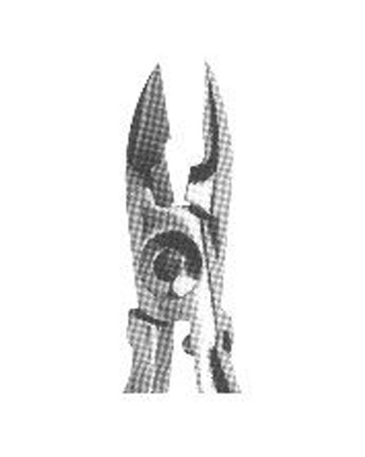 <span>  Pliers for Orthodontics</span>