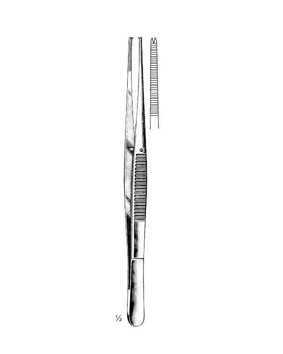 <span>Brophy</span>