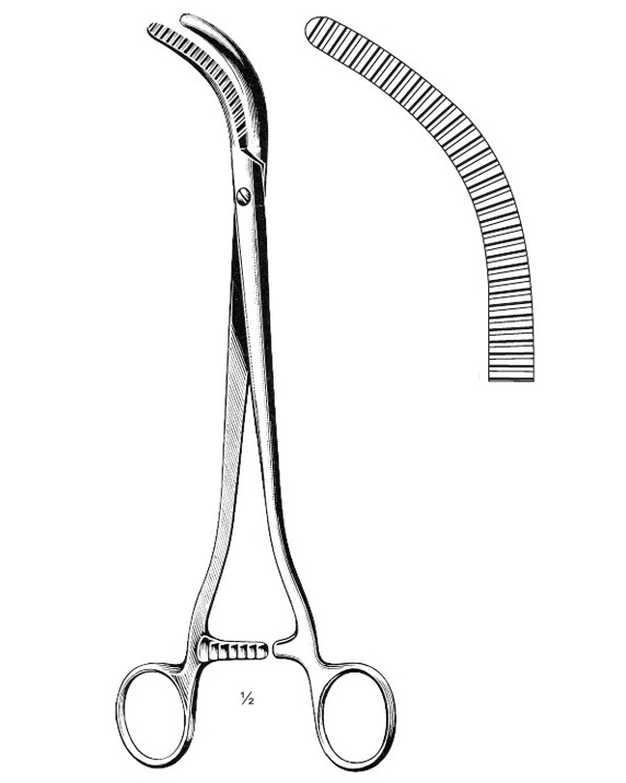 <span>Wertheim</span>