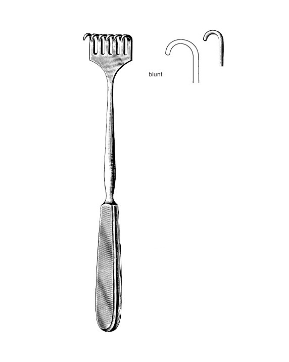 <span>Volkmann</span>