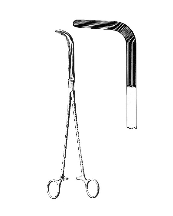 <span>Mixter</span>