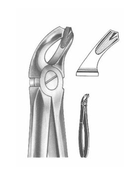 <span>Lower Wisdoms</span>