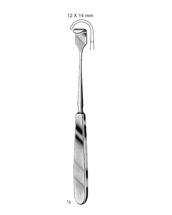 <span>Little</span>