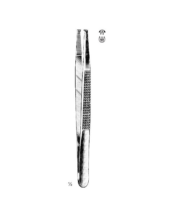 <span>Bonney</span>