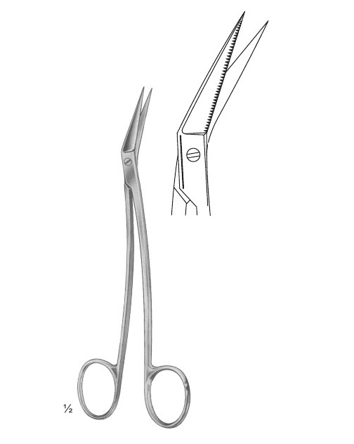 <span>Locklin</span>