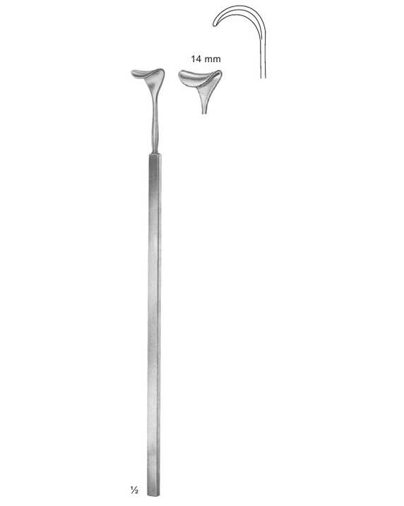 <span>Cushing</span>