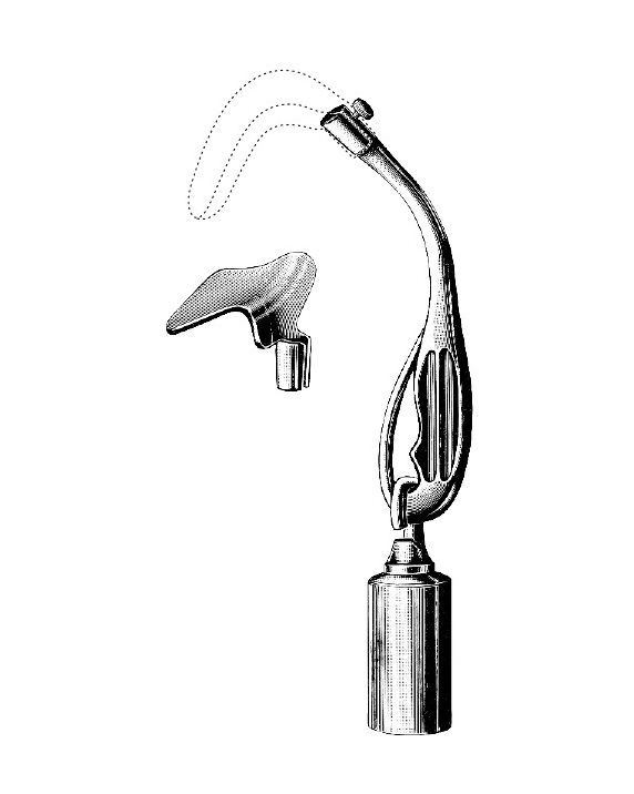 <span>Scherbak</span>