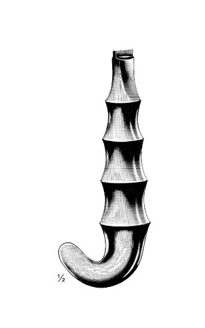 <span>Doyen MPF</span>