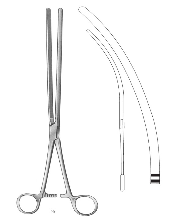 <span>Scudder</span>