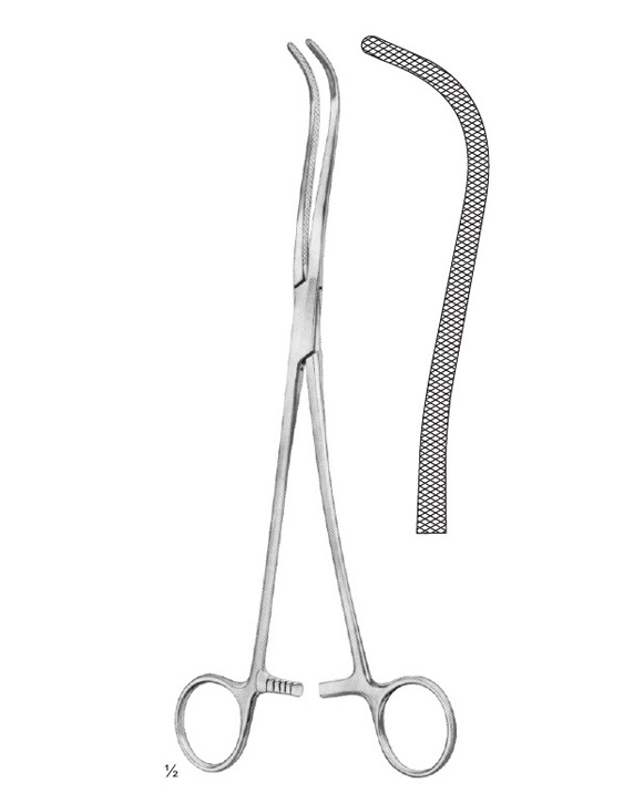 <span>Harken</span>