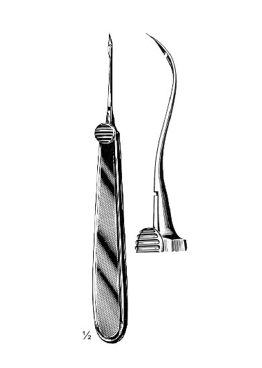 <span>Reverdin</span>