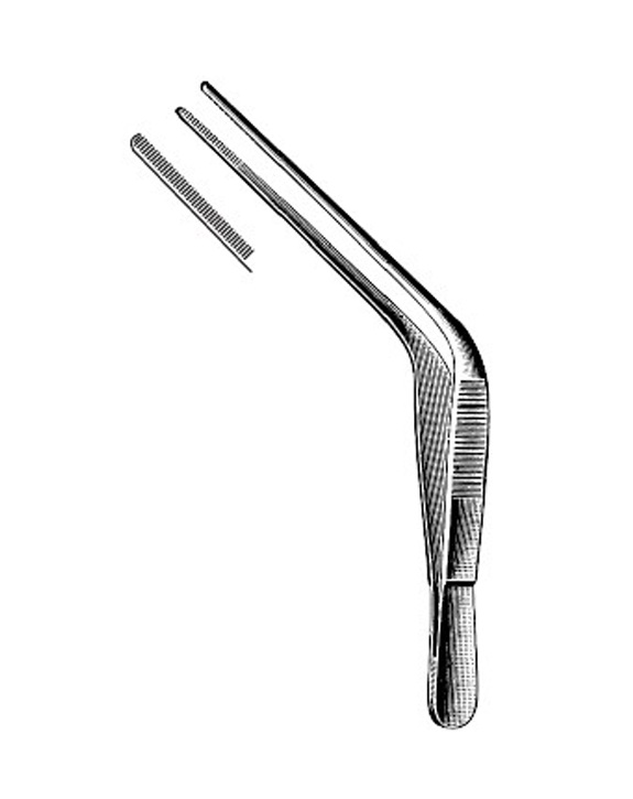 <span>Troeltsch (Wilde)</span>