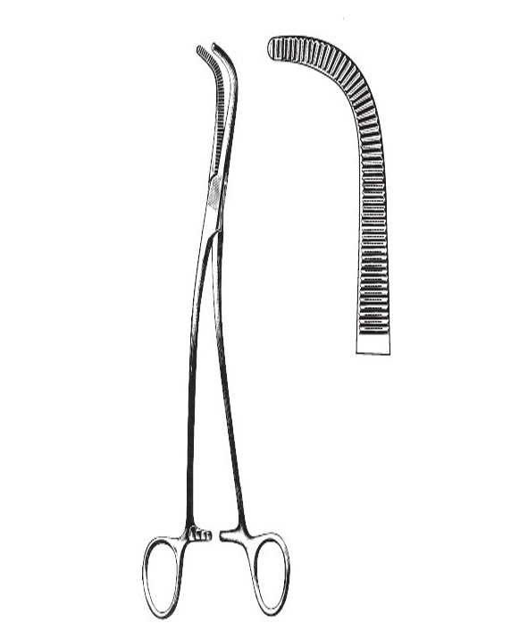 <span>Gray</span>