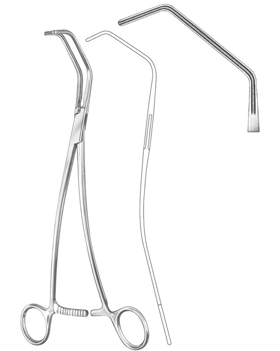 <span>DeBakey</span>