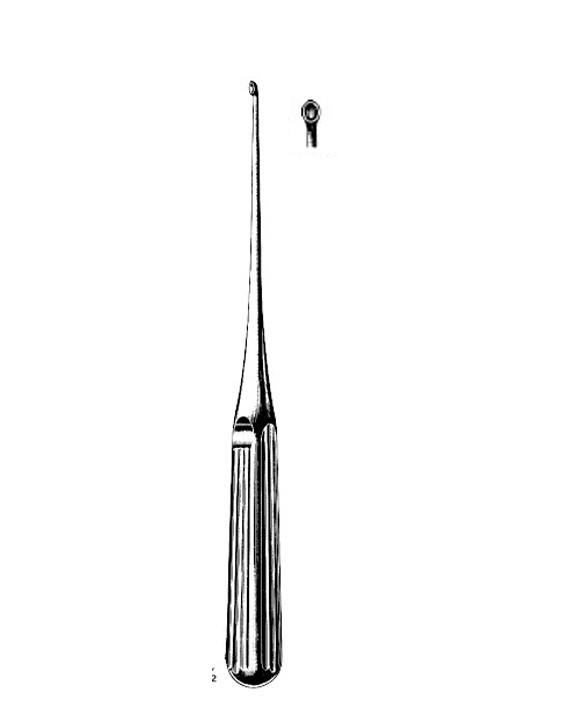<span>Bishop</span>