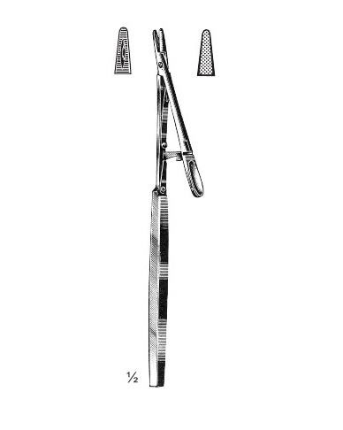 <span>Stevens</span>