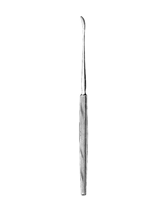 <span>Yankauer</span>