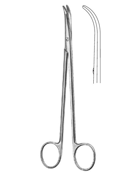 <span>Thorek</span>