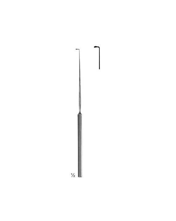 <span>Lucae</span>