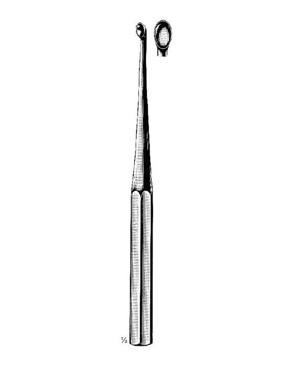 <span>Bruns</span>