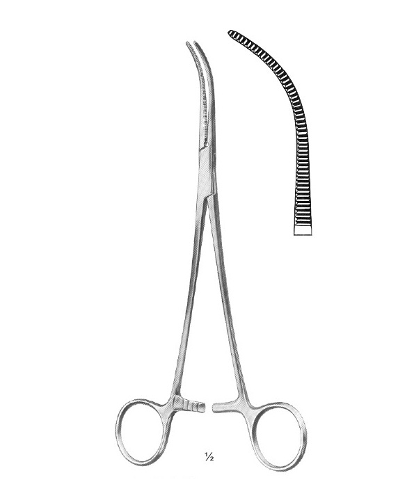 <span>Overholt-Mixter</span>