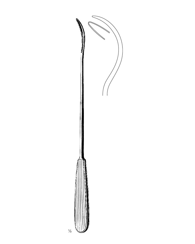<span>Brunner</span>