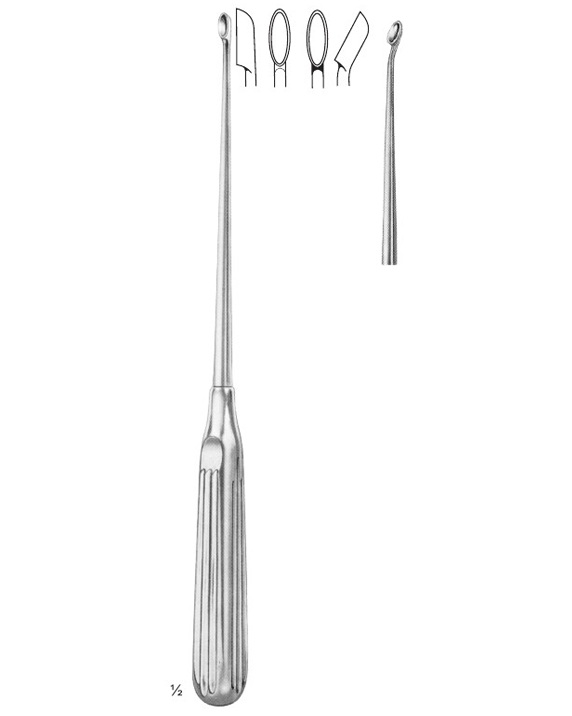 <span>Bruns</span>