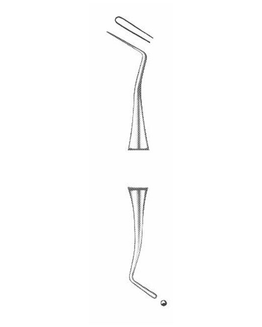 <span>Ash</span>
