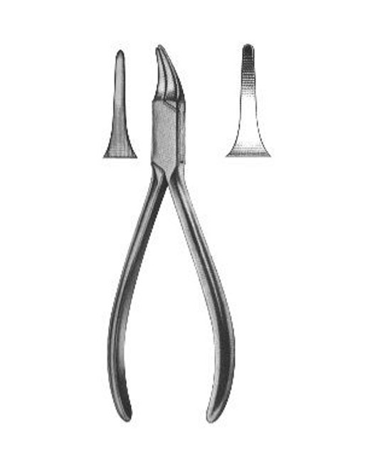 <span>USA Model</span>