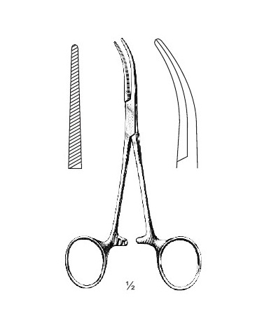 <span>Mosquito-Dandy</span>
