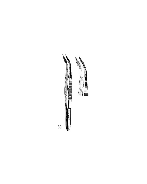<span>Hunter</span>