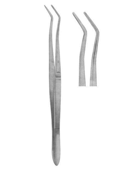 <span>Meriam Smooth </span>