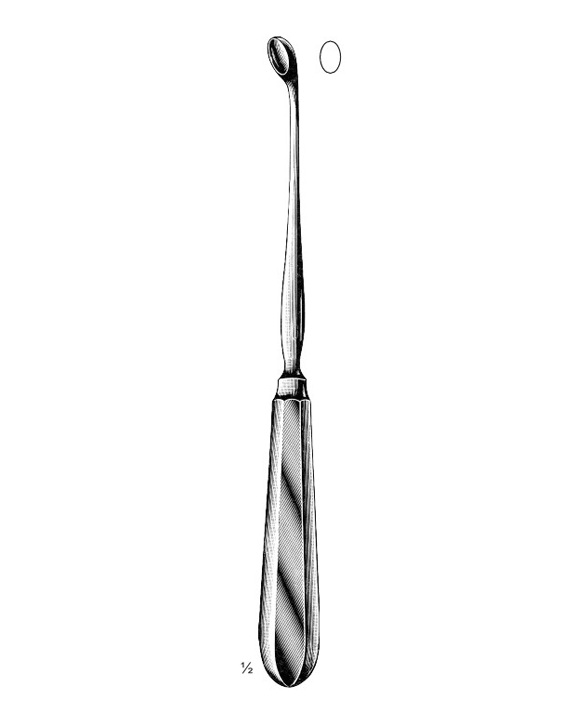 <span>Simon</span>