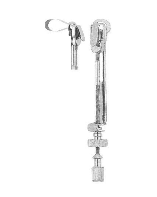 <span>Didner </span>