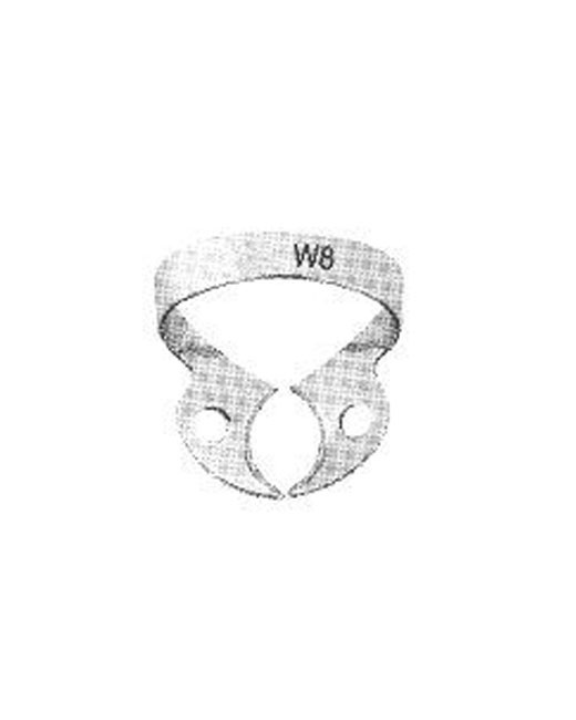 <span> Wingless</span>