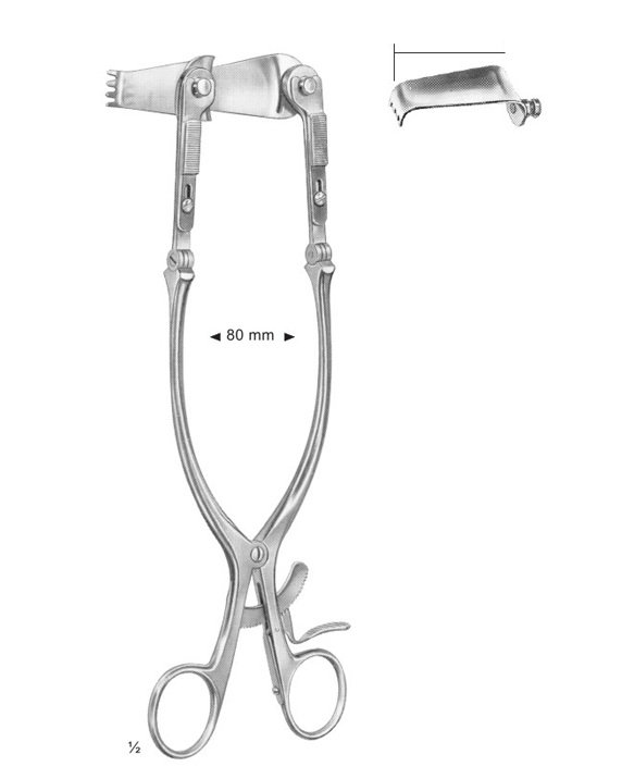 <span>Cloward</span>