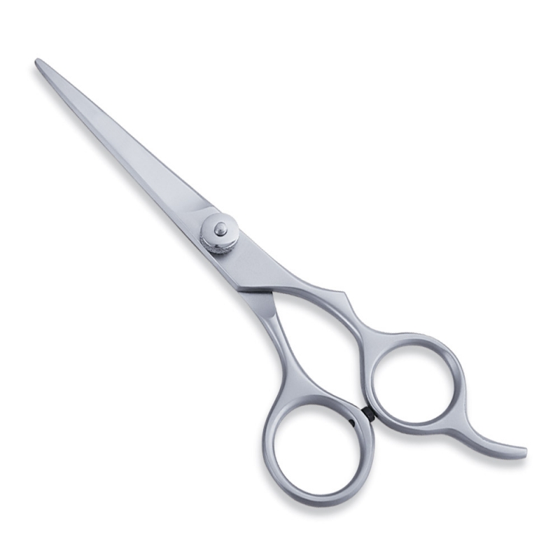 <span>Barracuda Hair Scissors</span>