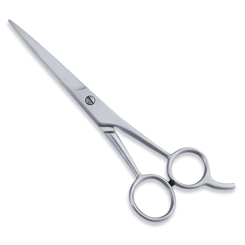<span>Economy Hair Scissors</span>