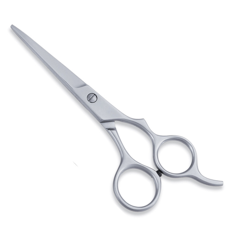 <span>Economy Hair Scissors</span>