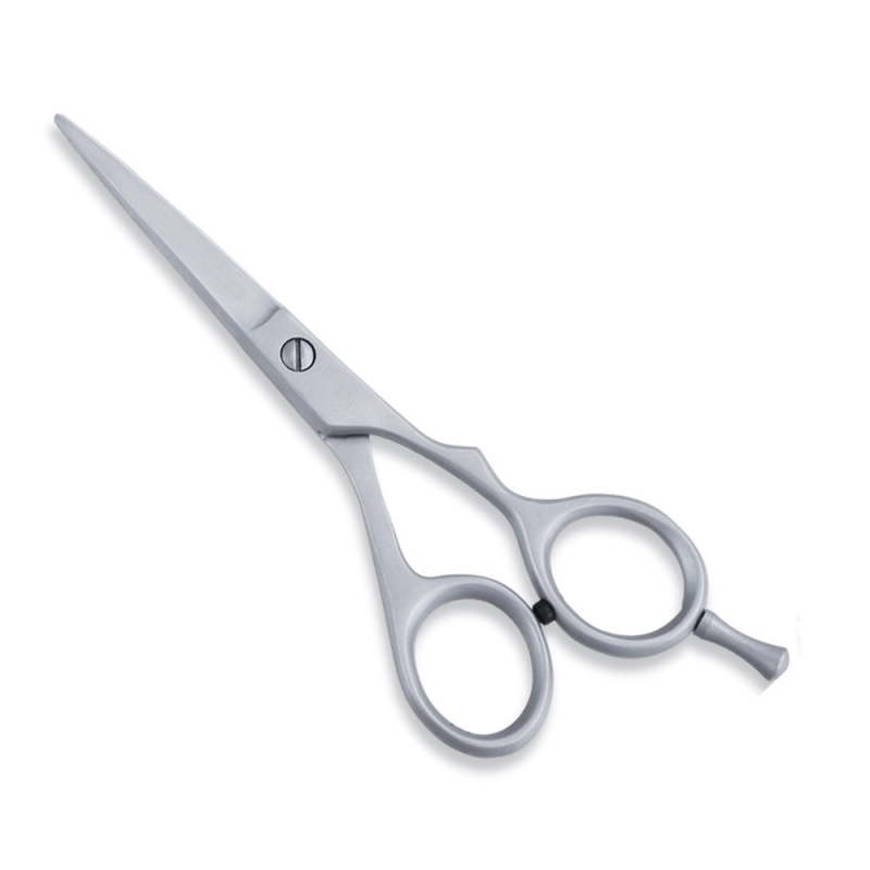 <span>Economy Hair Scissors</span>