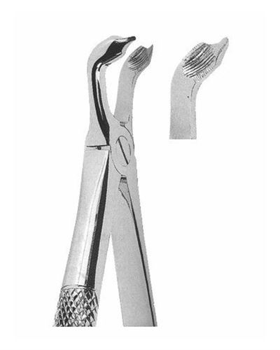 Lower Third Molars